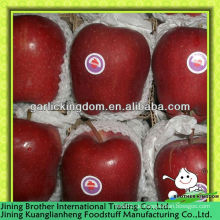 18kg Karton Apfel huaniu